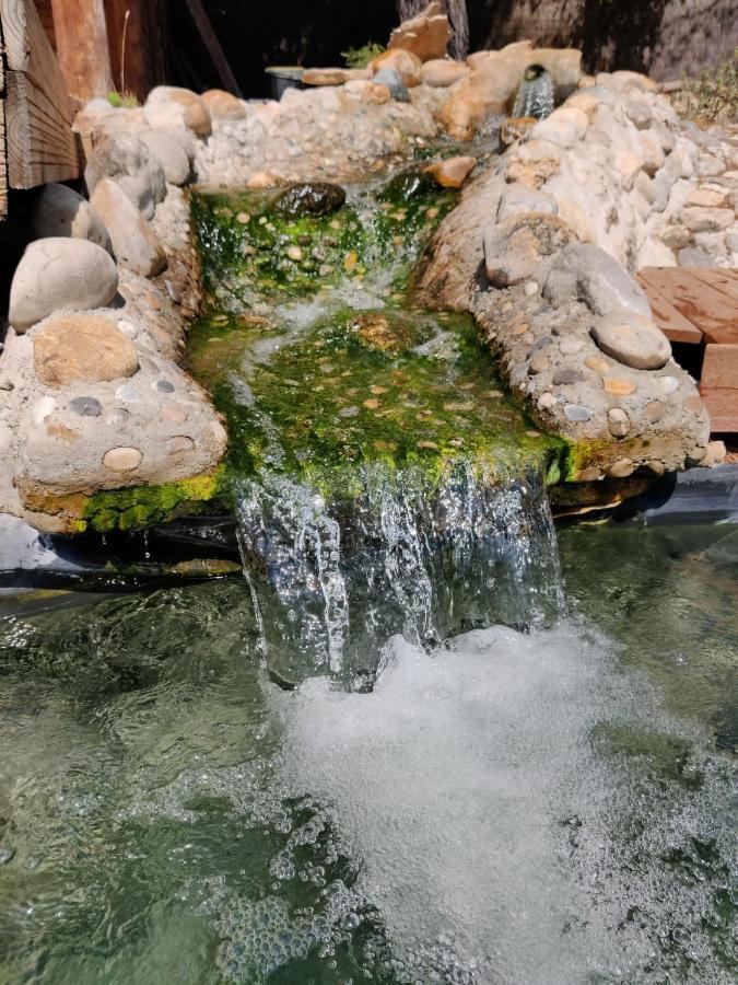 Apartamento L'Etang Des Cigales Uchaux Exterior foto