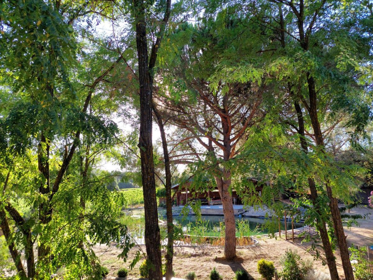 Apartamento L'Etang Des Cigales Uchaux Exterior foto