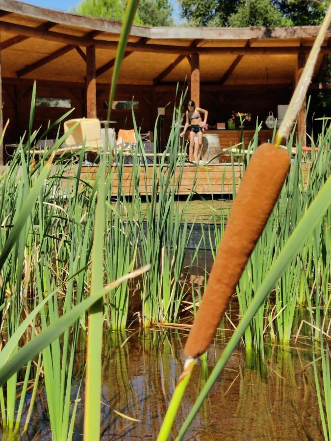 Apartamento L'Etang Des Cigales Uchaux Exterior foto
